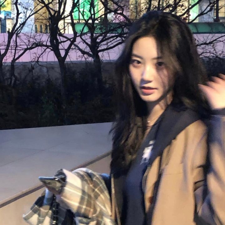星球上的麻雀